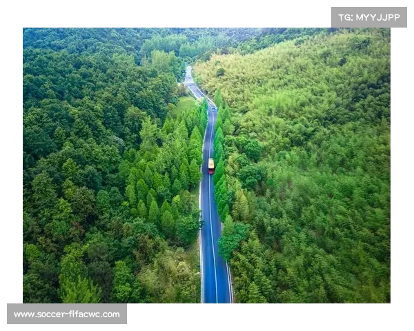 摩托车电动组世锦赛启动 首站落户上海国际赛道引领绿色出行新风潮