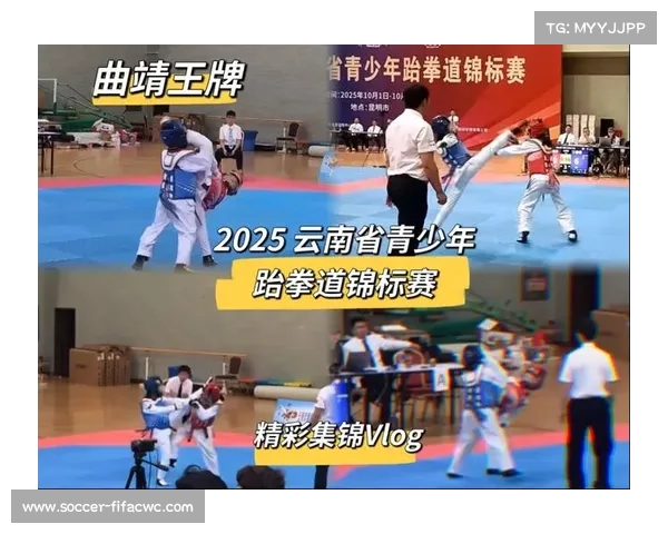 2025年云南省青少年跆拳道锦标赛在昆明收官展现青春力量与竞技风采